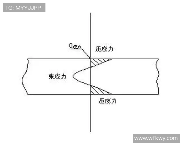 乒乓球与羽毛球扣杀得分统计分析及技巧探讨
